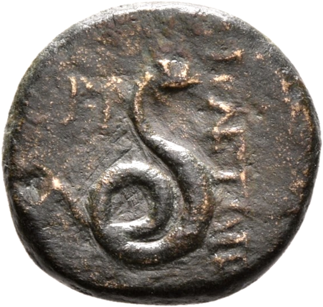 CN Type 12653, реверс, cn-coins