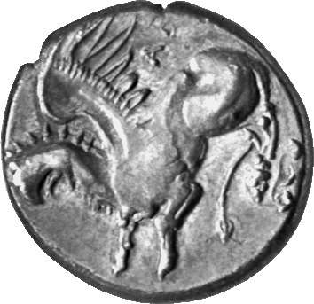 CN Type cn.abdera_thrace.1_ed.203, аверс, cn-coins