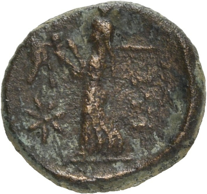 coin rev