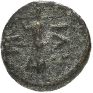 coin rev