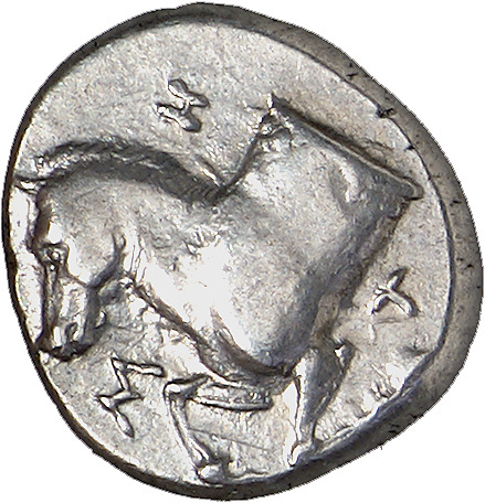 CN Type cn.maroneia.1_ed.113, аверс, cn-coins