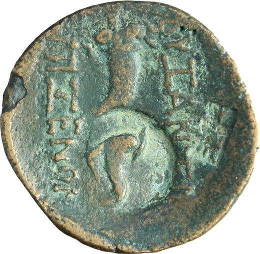 coin rev