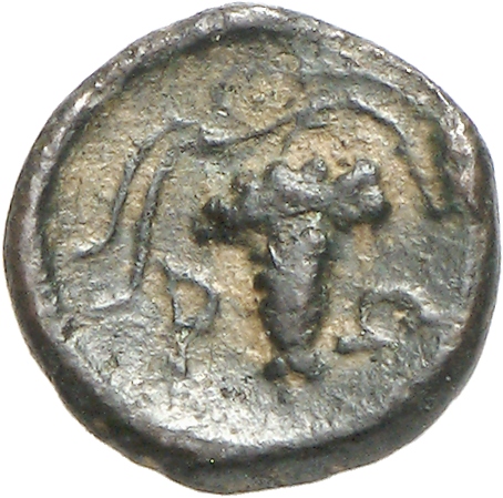 coin rev
