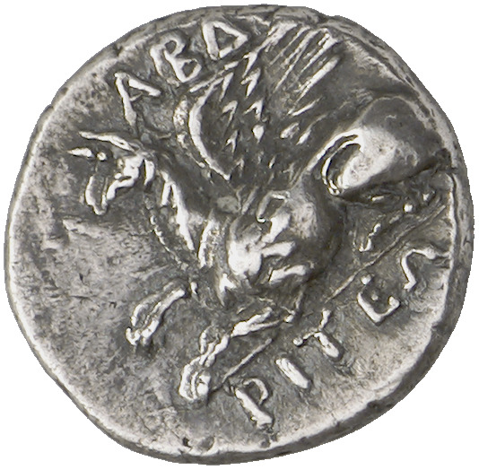 CN Type cn.abdera_thrace.1_ed.242, аверс, cn-coins
