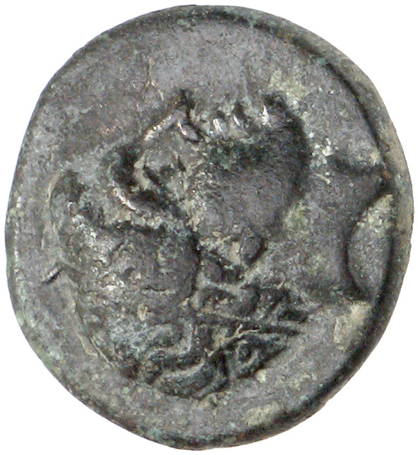 CN Type cn.agathopolis.1_ed.5, аверс, cn-coins
