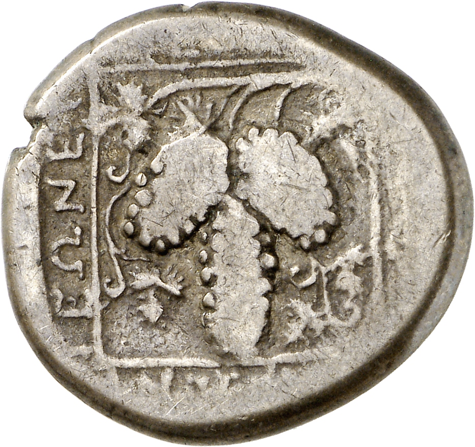 coin rev