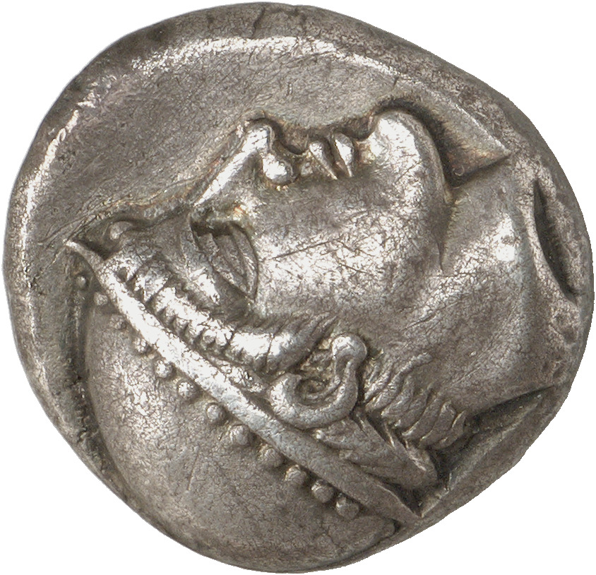 CN Type cn.aenus.1_ed.15, аверс, cn-coins