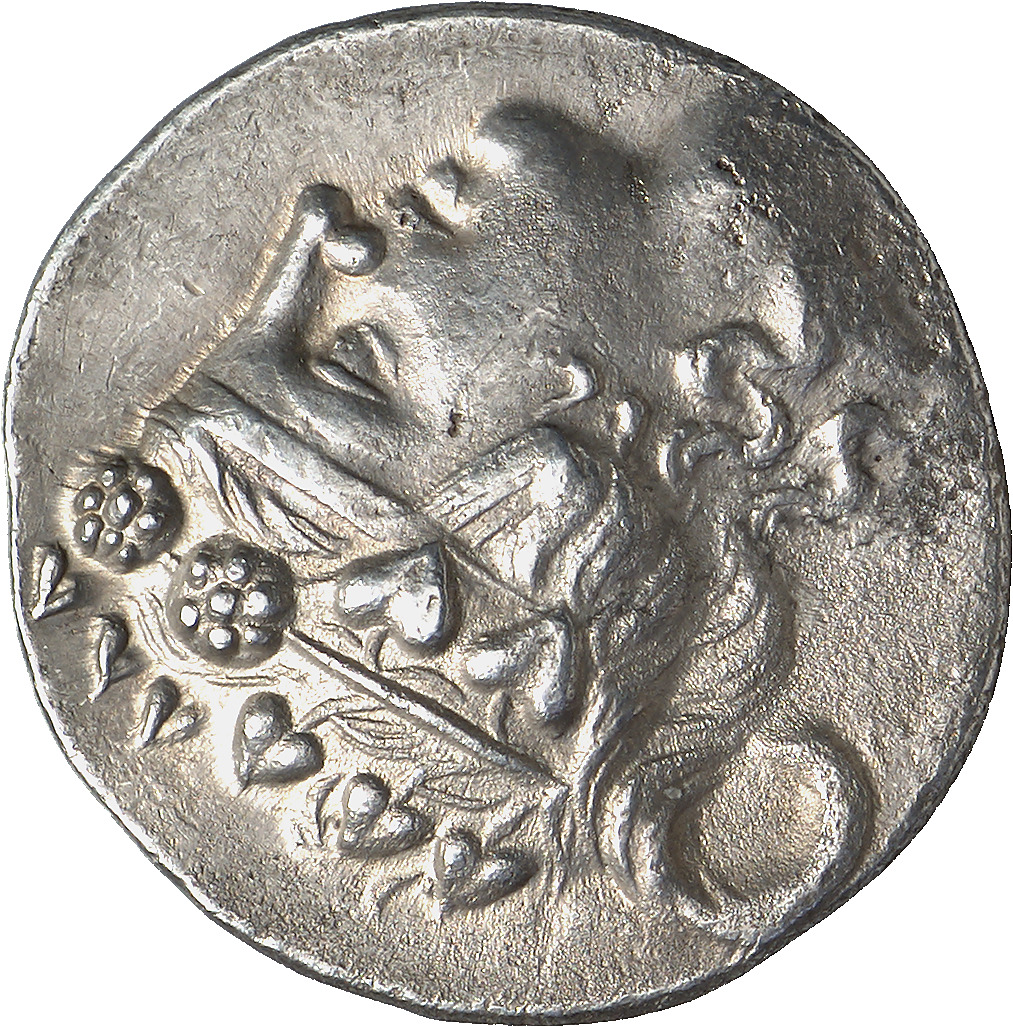 CN Type cn.thasos.1_ed.137, аверс, cn-coins