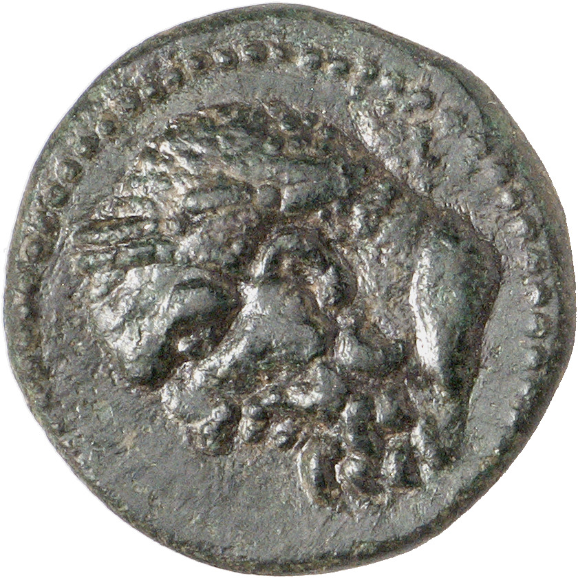 CN Type cn.perinthus.1_ed.54, аверс, cn-coins