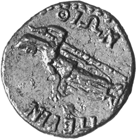 reverse CN Type cn.perinthus.1_ed.55