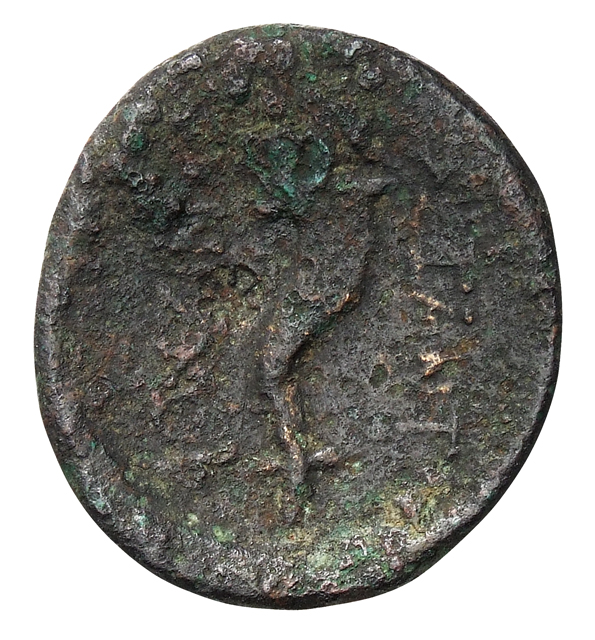 coin rev