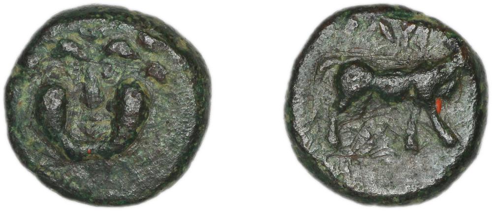 CN Type 21242, реверс, cn-coins