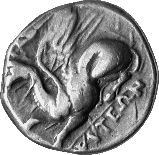 CN Type cn.abdera_thrace.1_ed.228, аверс, cn-coins