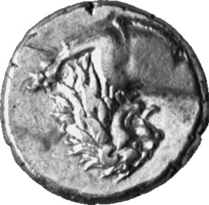CN Type cn.chersonesus_thrace.1_ed.28, аверс, cn-coins