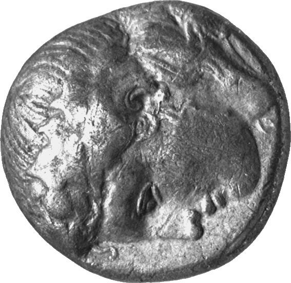 CN Type cn.maroneia.1_ed.171, аверс, cn-coins