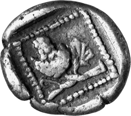 reverse CN Type cn.maroneia.1_ed.92