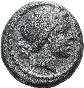 obverse CN Type 20242