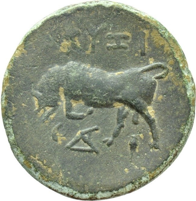 CN Type 21329, реверс, cn-coins