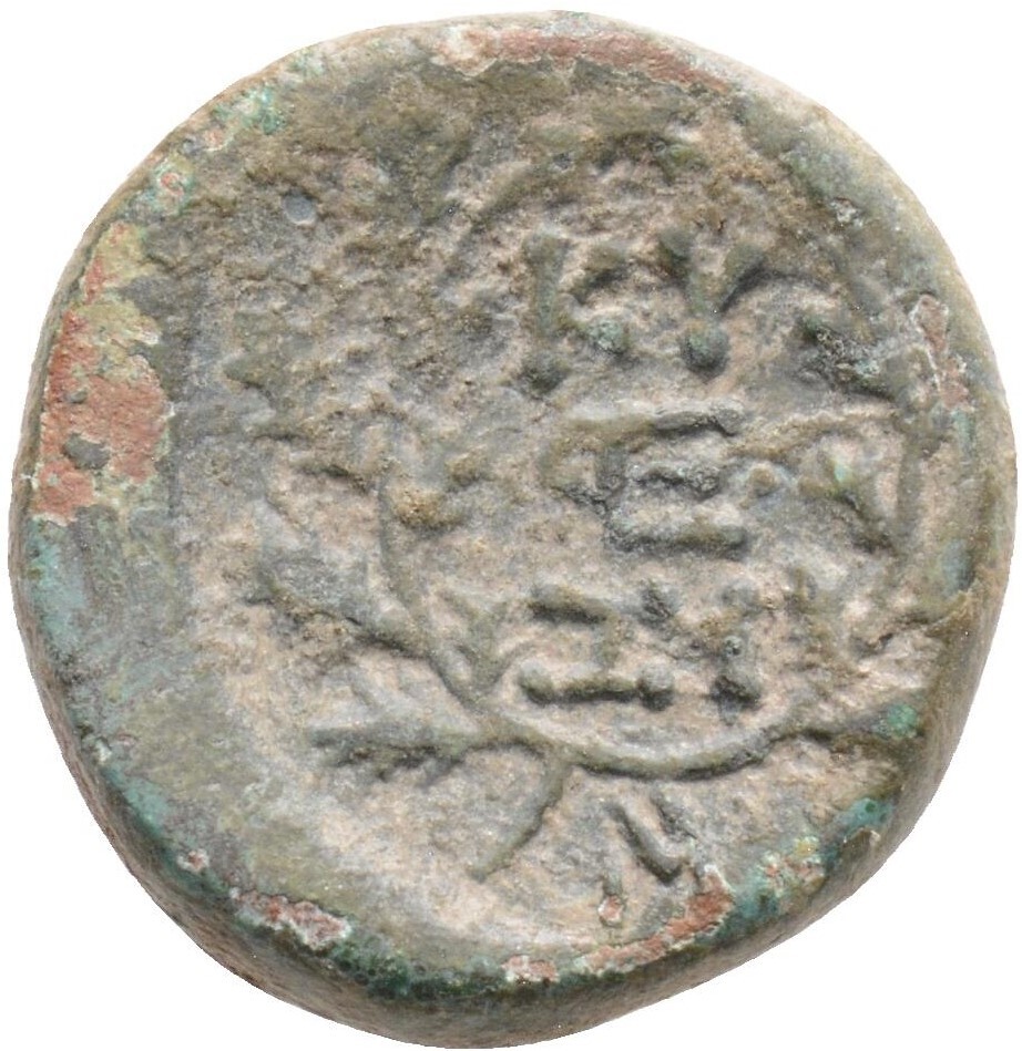 CN Type 21342, реверс, cn-coins