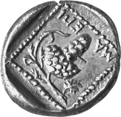 coin rev
