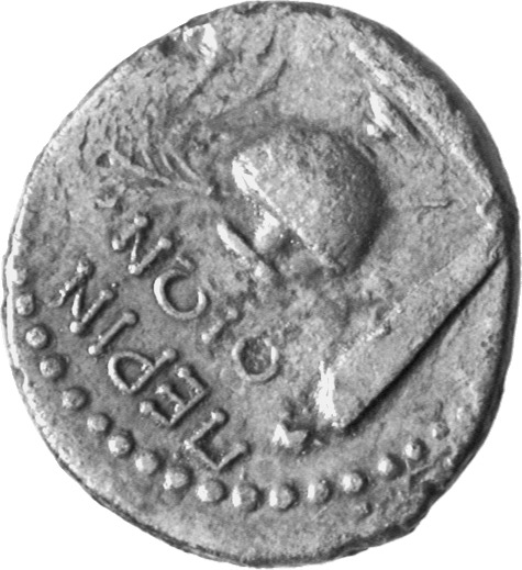 reverse CN Type cn.perinthus.1_ed.44