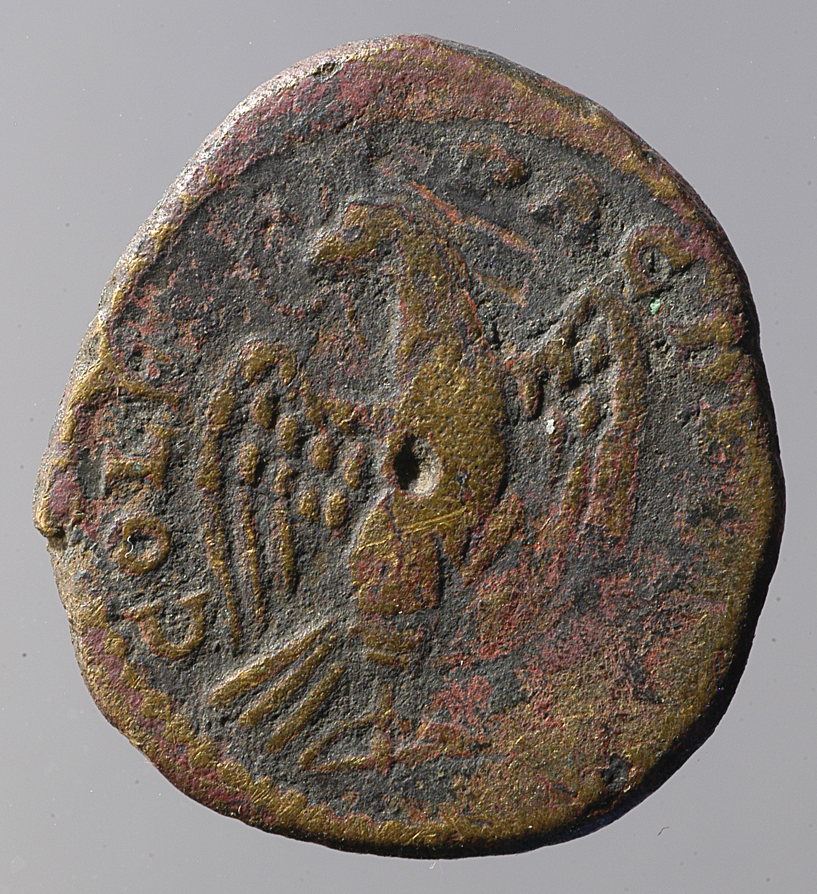 coin rev