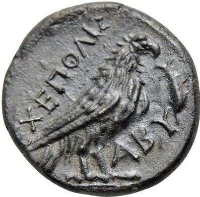 coin rev
