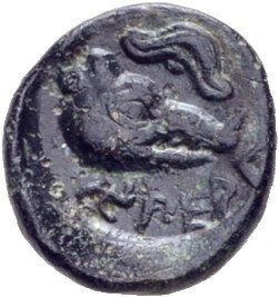 CN Type 10954, реверс, cn-coins