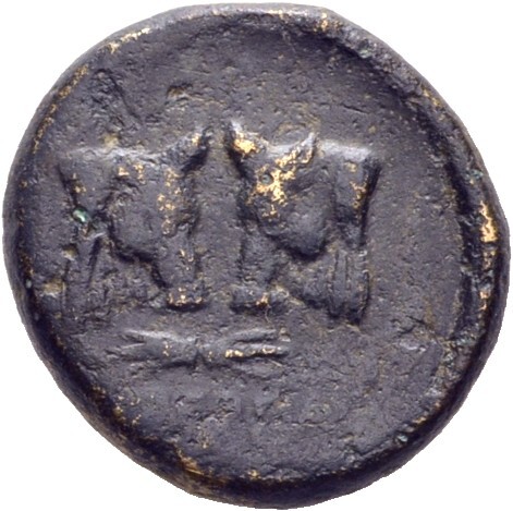 CN Type 11209, реверс, cn-coins