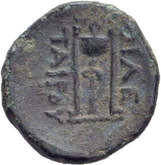 coin rev