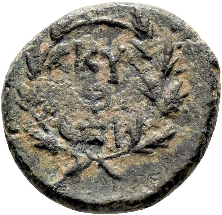 coin rev