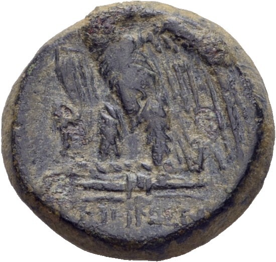 coin rev
