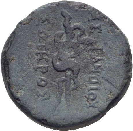 coin rev