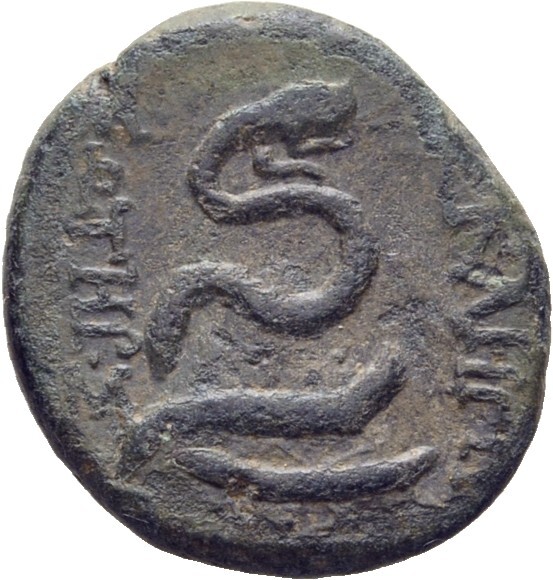 CN Type 11758, реверс, cn-coins
