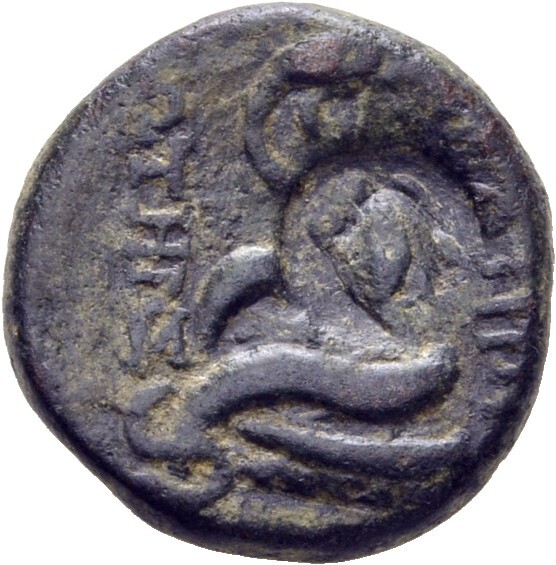 CN Type 11758, реверс, cn-coins