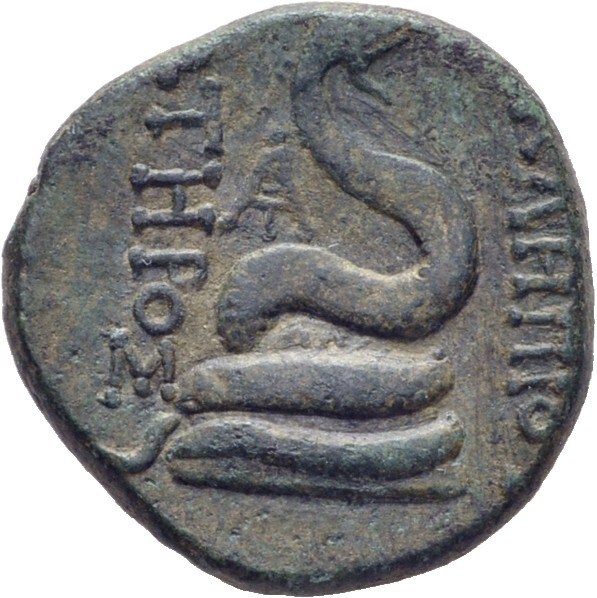 coin rev