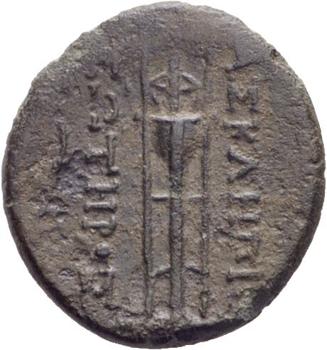 coin rev