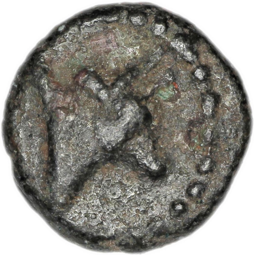 CN Type 21391, аверс, cn-coins