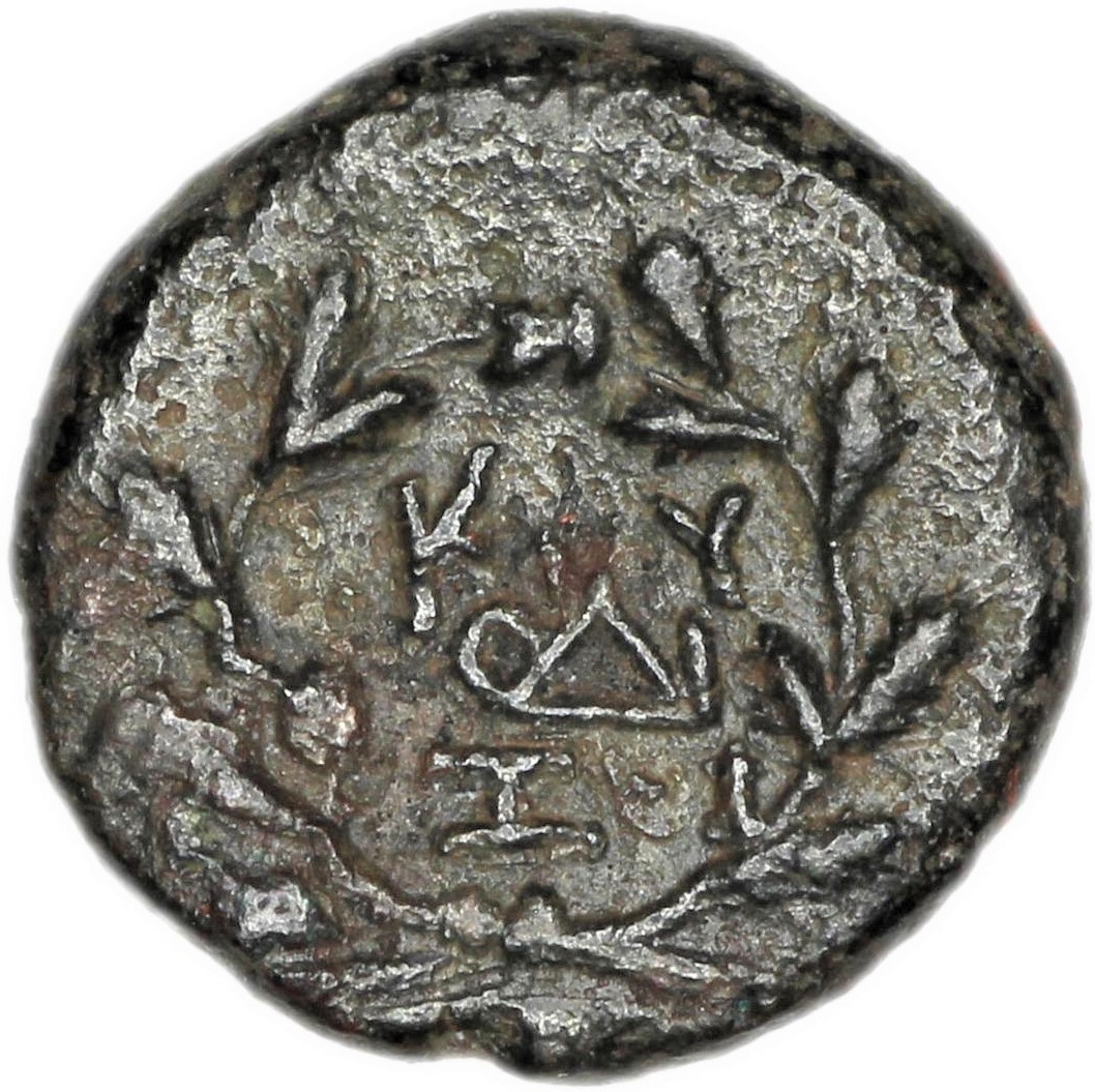 CN Type 21391, реверс, cn-coins