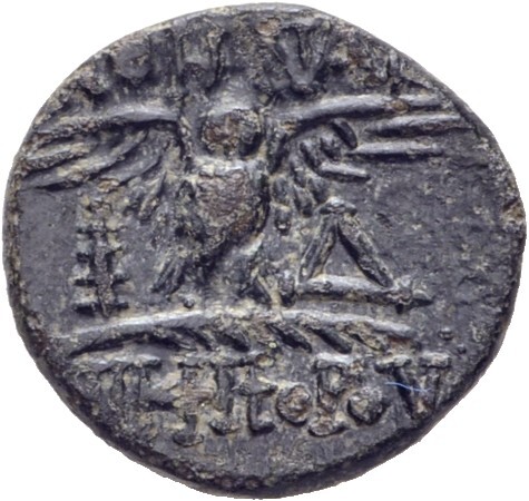 coin rev