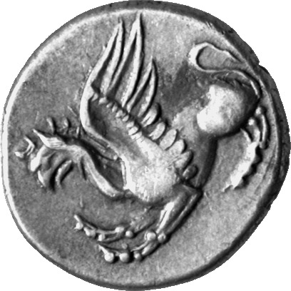 CN Type cn.abdera_thrace.1_ed.167, аверс, cn-coins