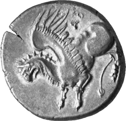 CN Type cn.abdera_thrace.1_ed.203, аверс, cn-coins