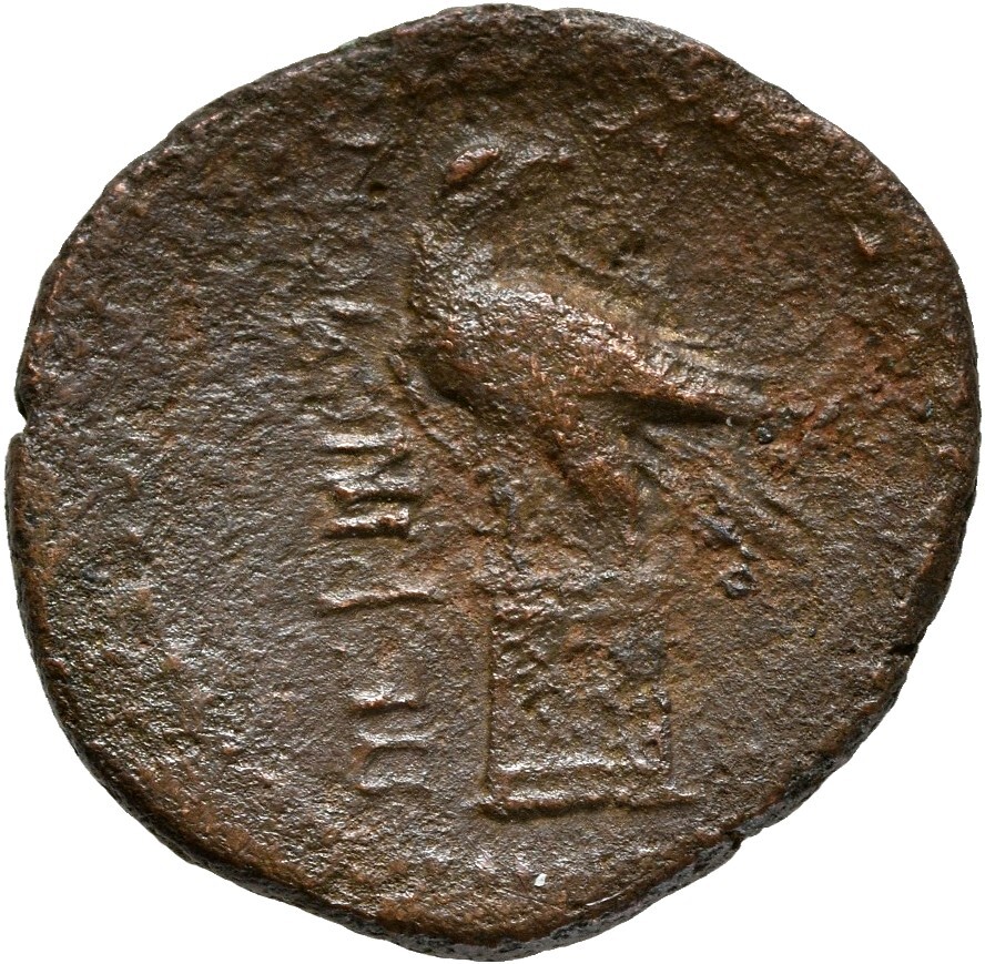 CN Type cn.perinthus.1_ed.47, реверс, cn-coins