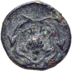 CN Type 7491, реверс, cn-coins