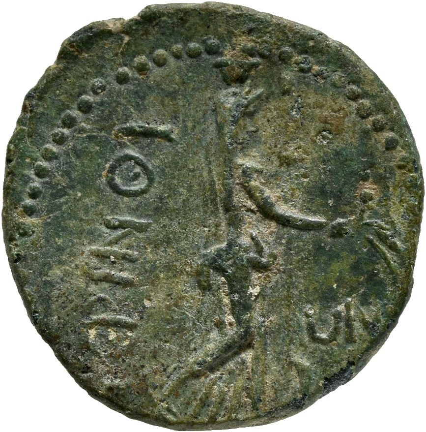 reverse CN Type cn.perinthus.1_ed.46