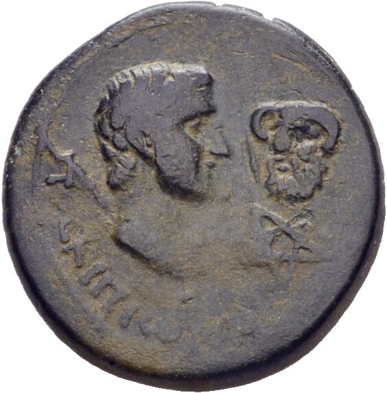 CN Type 11648, реверс, cn-coins
