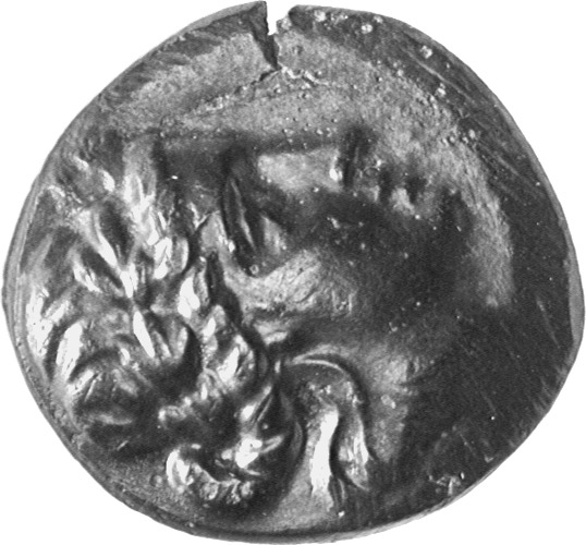CN Type cn.cabyle.1_ed.1, аверс, cn-coins
