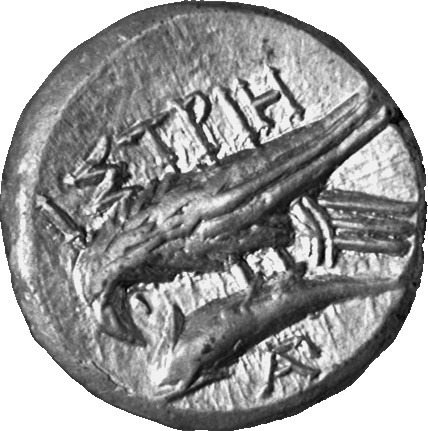 CN Type 7142, реверс, cn-coins