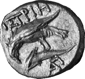 реверс CN Type 7184