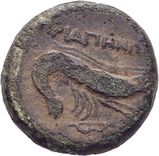 CN Type 19706, реверс, cn-coins